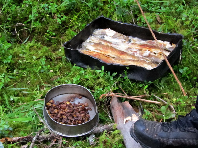 Рыба и грибы во время стапеля на Улуг-О []