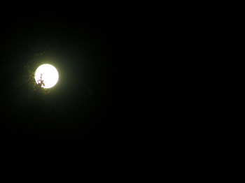 Луна над Карарайры