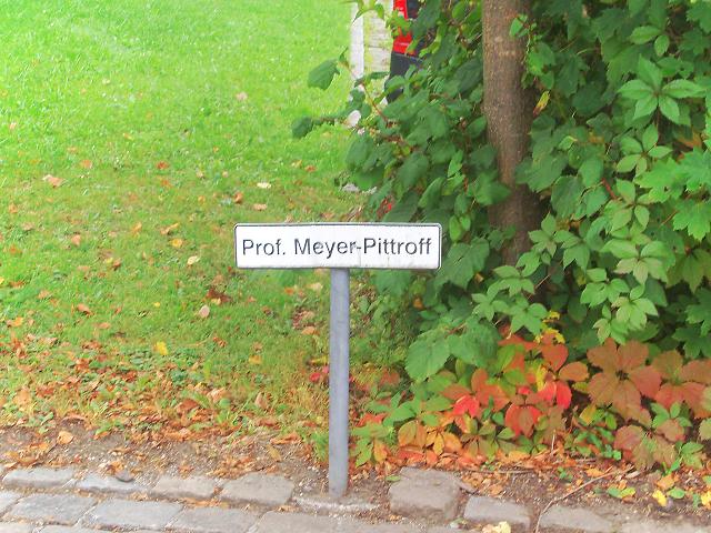 Professor Meyer-Pittroff [Анатолий Новак]